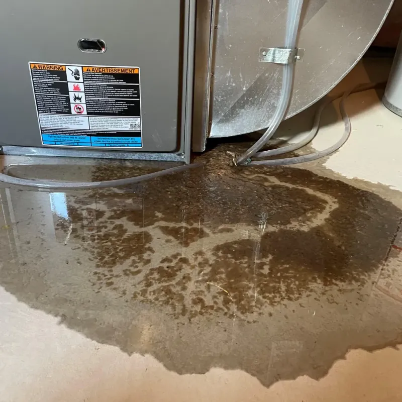 Appliance Leak Cleanup in Skidaway Island, GA